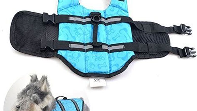 广州离心冷水机定制：揭秘定制化背后的技术奥秘**